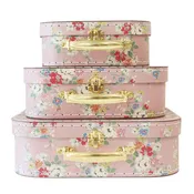 Alimrose 3PC Carry Case Set - Vintage Rose