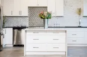 White Shaker