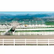 3- and 4-Rail White Fence