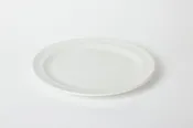 10.75" Dinner Plate Straw