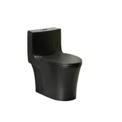1 Piece Toilet With Dual Flush And Soft Closing Seat