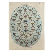 Vintage Indian Jewelry Blue & Gold Metallic Assorted Nose Ring Print — Layla Brooklyn