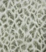 2871-88709 Montone Grey Giraffe Wallpaper