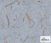 Banana Fiber Paper - Grey Mist