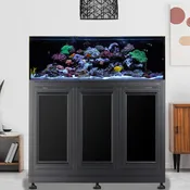 80 Gallon NUVO SR80 Shallow Reef AIO Aquarium - Innovative Marine