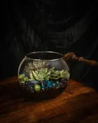 Peaceful Green Terrarium
