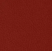 22 Longlife Rustika Rosso Leather Swatch