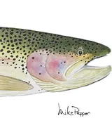 "Monster Rainbow" - original watercolor by Mike Pepper — Saddletree Gallery & Framing