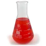 Borosilicate Glass Erlenmeyer Flask, 125mL, pk/12