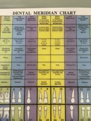 Dental Meridian Chart