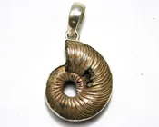 Ammonite Shell Pendant