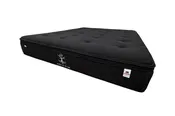Ash & Elm Black Euro Top Plush