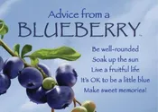 Advice from a Blueberry Jumbo Magnet