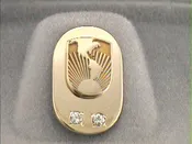 15 Year Lapel Pin or Charm