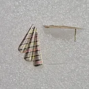 14kt Gold Lady's Multi Color Wave, Fan Design Earrings