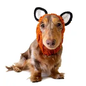 Fox Zoo Snood