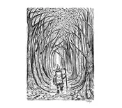 C-411 // Into the Woods