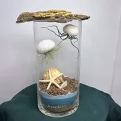 Cylinder