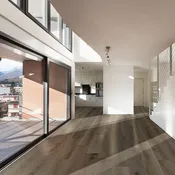 217 - Lusso Engineered Hardwood by Vandyck