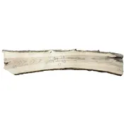 Ash Slab City 2A — The Wood Cycle of Wisconsin