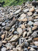 Boston Blend Flat Wallstone