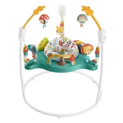 FisherPrice Baby Bouncer Jumperoo Activity Center
