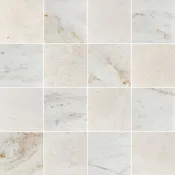 Alba Nova & Bianco Oro 4" Checkerboard Honed