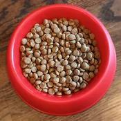Puppy Food (per lb)