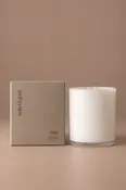 XL Thicket Soy Candle