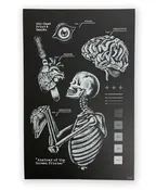 "Anatomy of the Screen Printer" Poster — Abi-Saad Print & Design