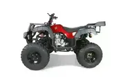 Rhino 250 Utility Four Wheeler