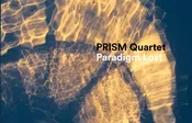 Paradigm Lost