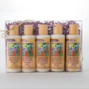 (5pc) ArizonaSun&reg; Fun in the Sun Skin Care Gift Set