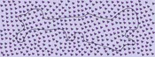 Doc Band Wrap With Multiple Hearts on Solid Background