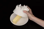 Dome Set with Fish Scales for Butter or Cheese — Gillion Carrara