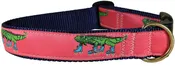 1.25” Ribbon Dog Collar – Iguana on Roller Skates