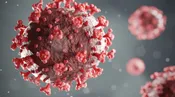 Bloodborne Pathogens, 8 CCR 5193