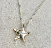 14K Gold Sea Star Necklaces