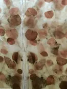 Bee Bowen Silk Scarf / Falling