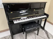 2009 Brodmann 49" Professional Upright in Ebony, with adjustable bench