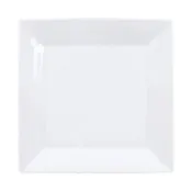 10 Inch Square China Plate