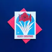 Amaryllis Christmas - Letterpress Card Holiday Boxed Set