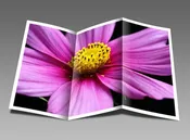 Brochure Paper Tri Fold & Bi Fold 65 Lb