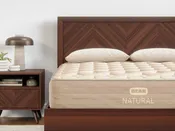 Bear Natural