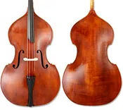 Anton Krutz Bass - Gamba
