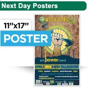 Next Day Posters-11X17
