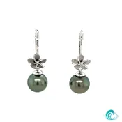 14K Plumeria & Tahitian Pearl Earrings
