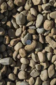 1"-1.5" River Rock
