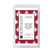 Autumn in the Electric City Wax Melts