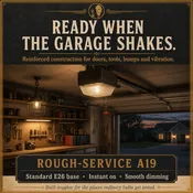 60-Watt Incandescent Light Bulb, Rough Service A19, Dimmable
